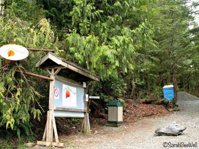b2ap3_thumbnail_Hiking-Guide-Wild-Pacific-Trail-Ancient-Cedars-entrance-Sarah-BeeWell.jpg